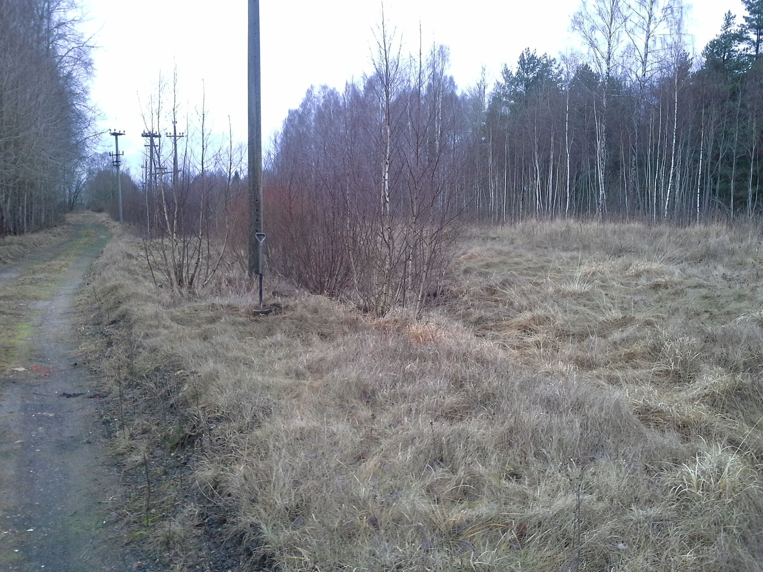 Apkārtnes foto