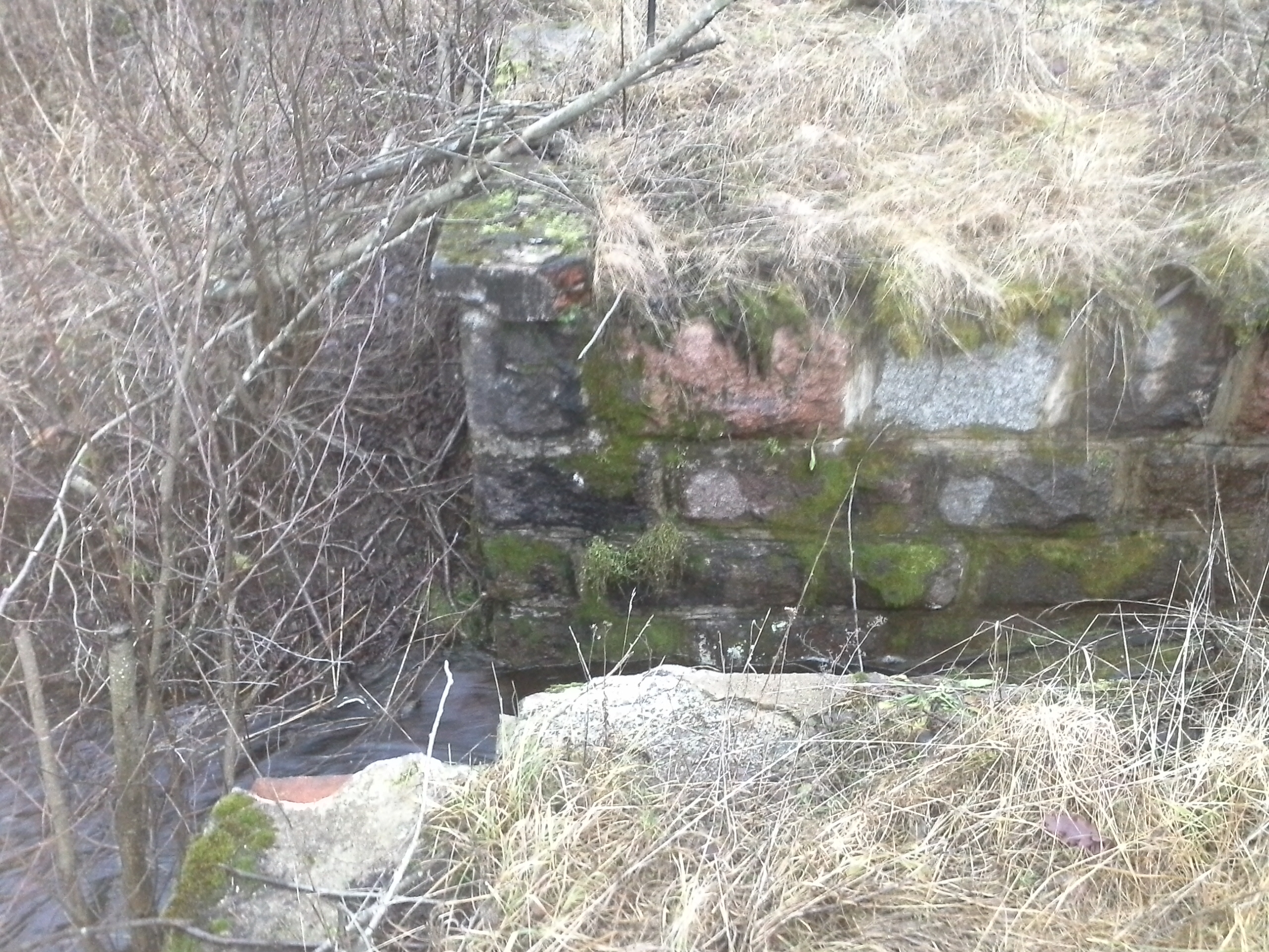 Apkārtnes foto