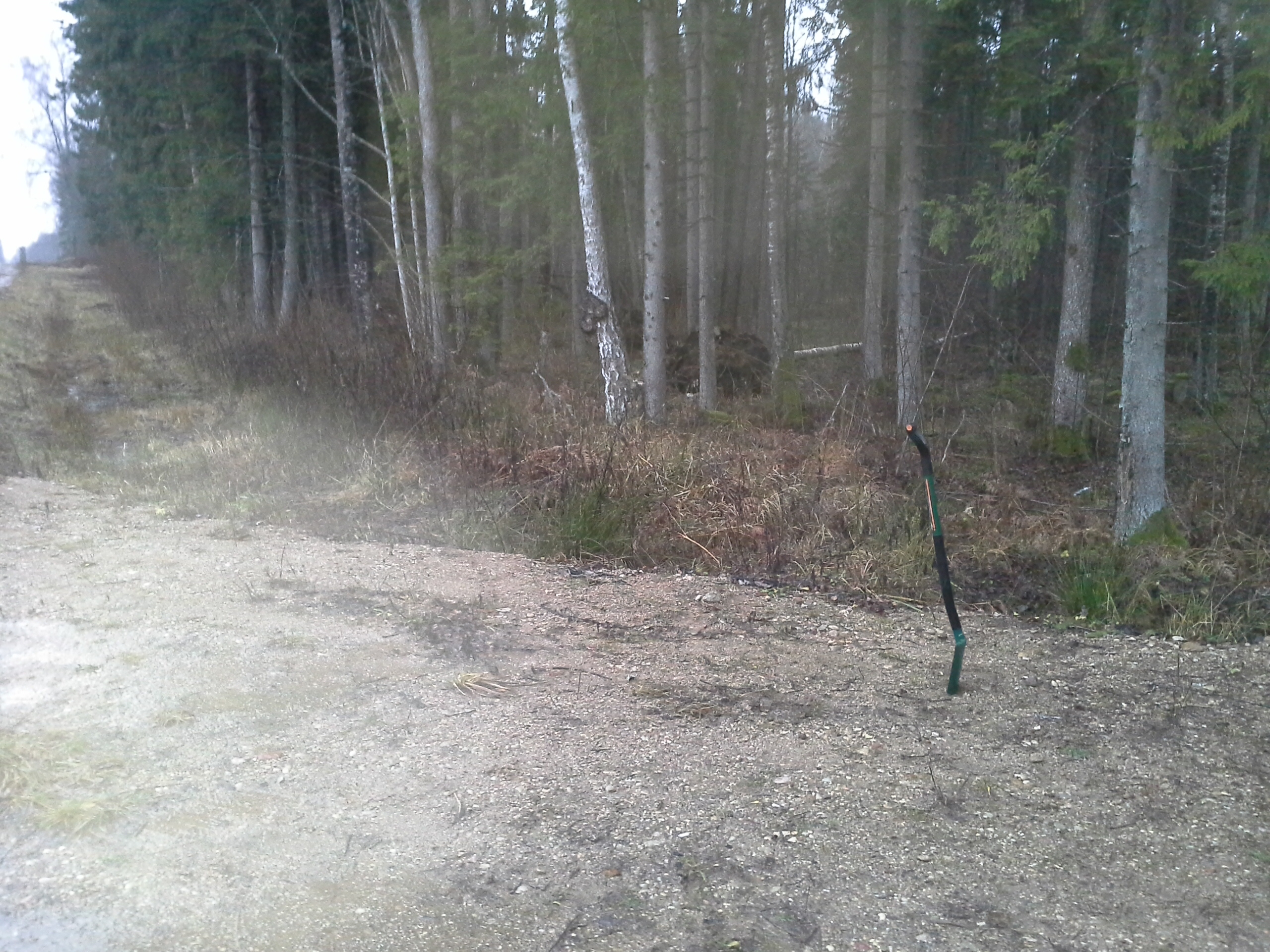 Apkārtnes foto