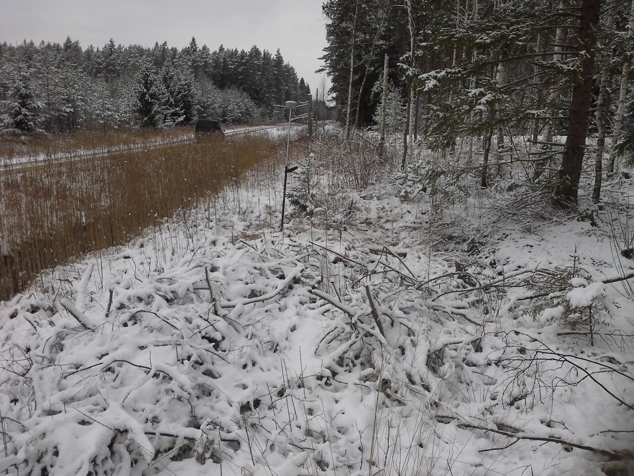 Apkārtnes foto