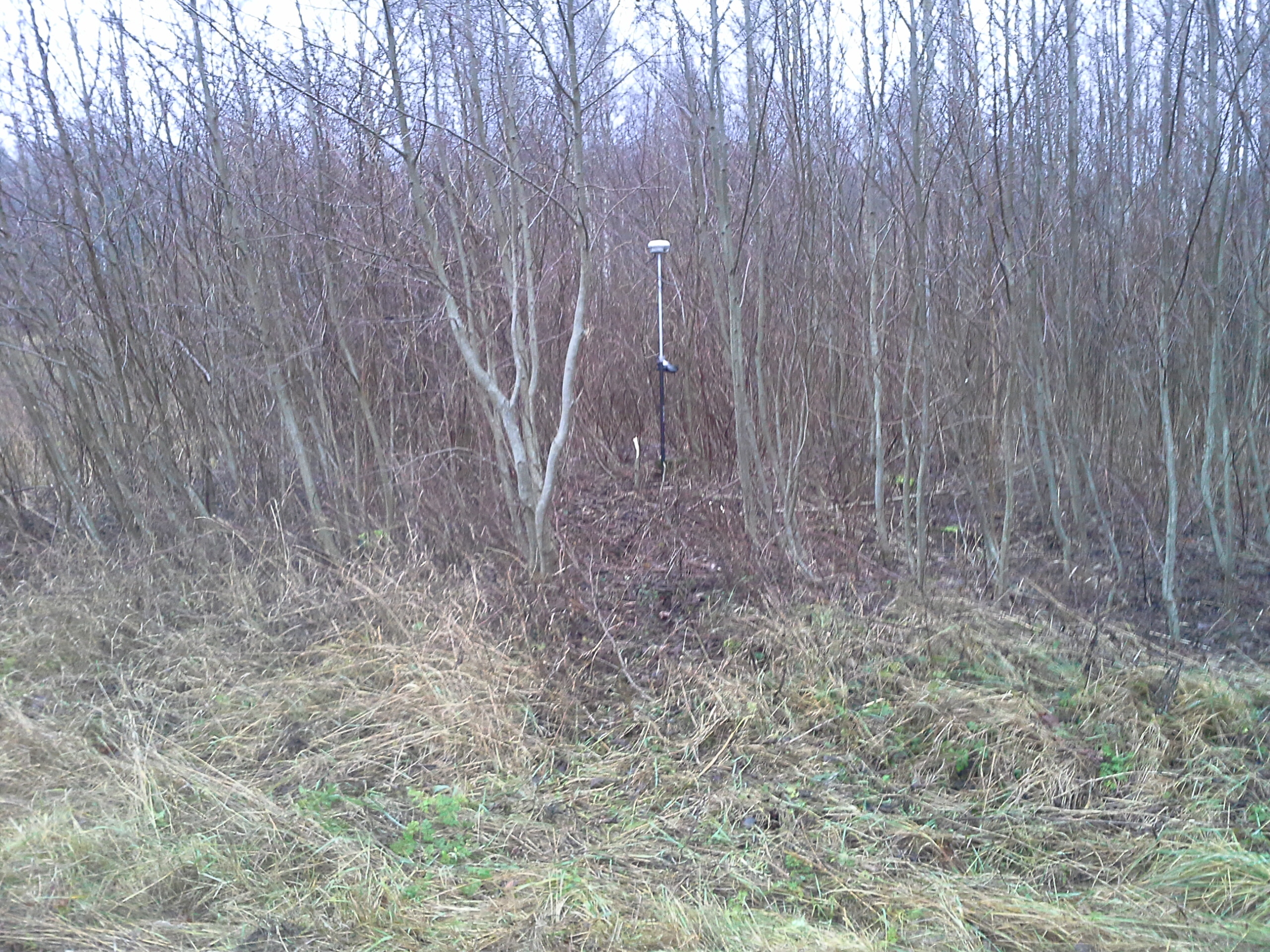 Apkārtnes foto