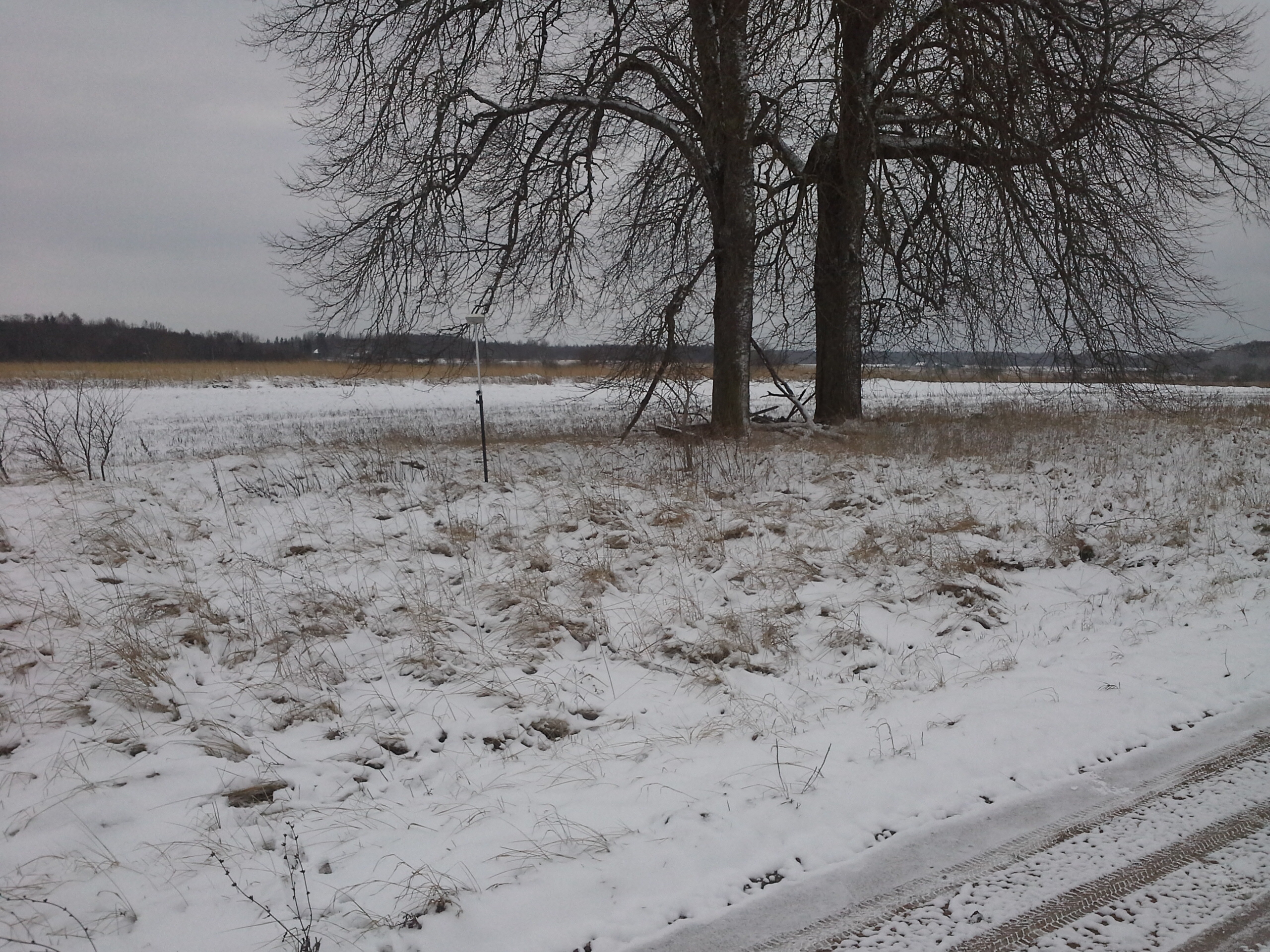 Apkārtnes foto