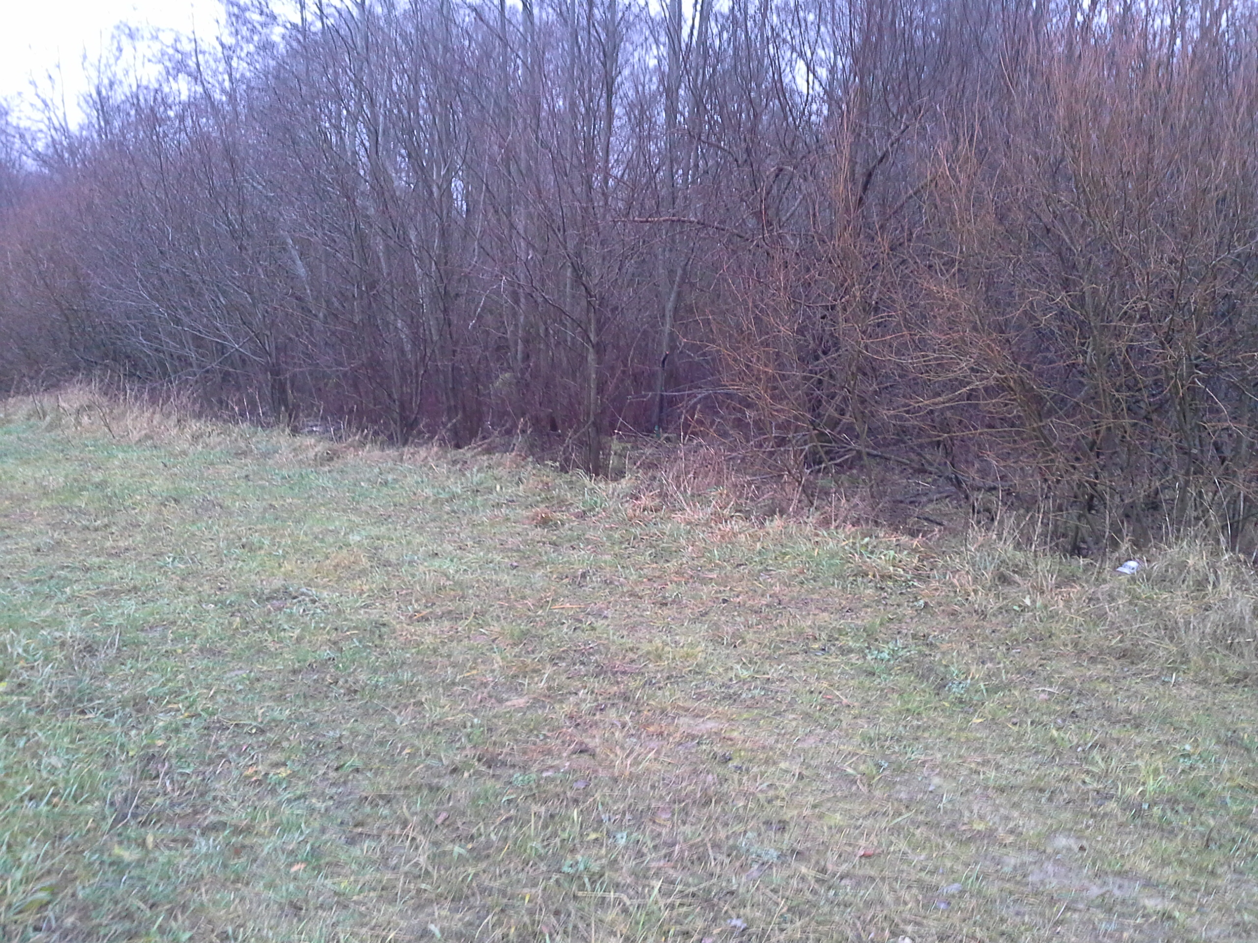Apkārtnes foto